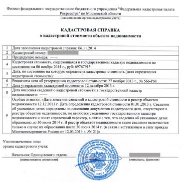 Форма кадастровой выписки: правила заполнения