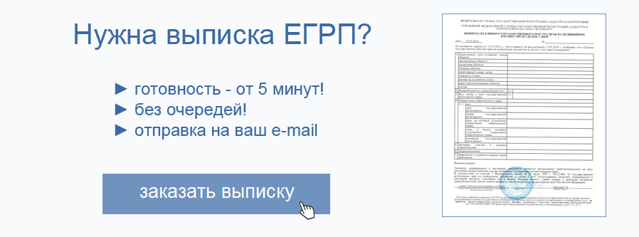 Заказать выписку ЕГРН (ЕГРП) за 5 минут без регистрации