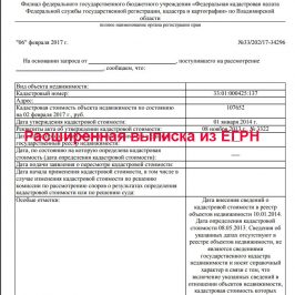 Расширенная выписка из ЕГРН