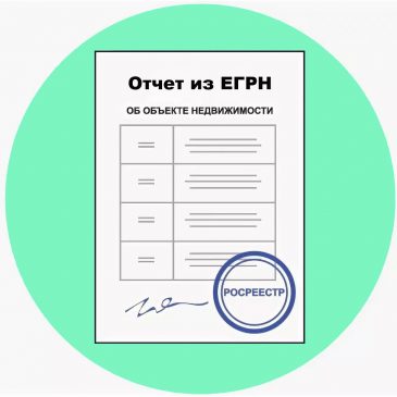 Что такое отчет из ЕГРН